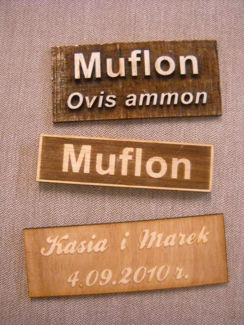 tabliczki do muzeum przyrodniczego muflon